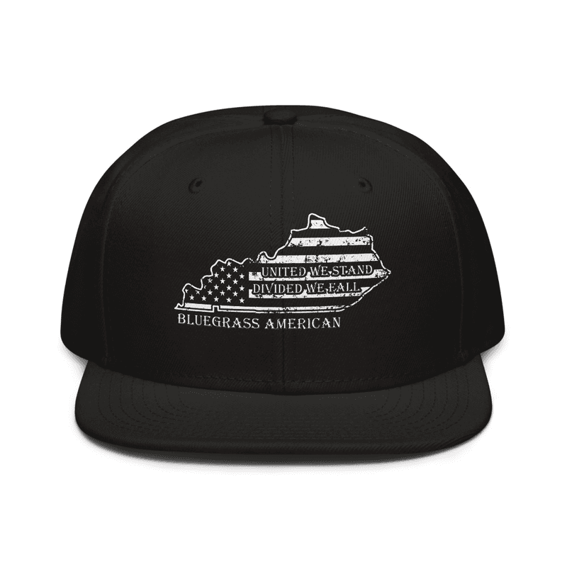 Bluegrass American United We Stand Snapback Hat - View 1